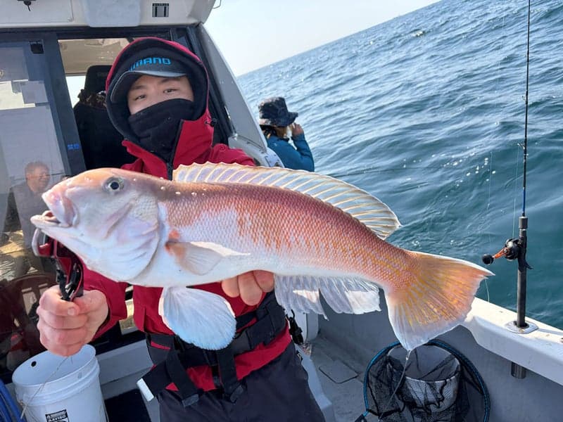 �^�C���o�W�M���O