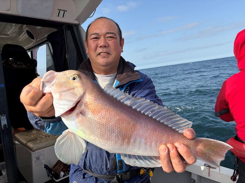 �^�C���o�W�M���O